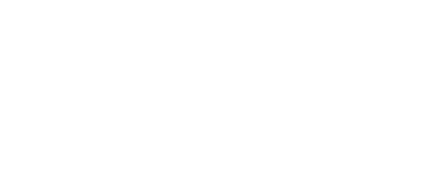 AVL Logo weiß