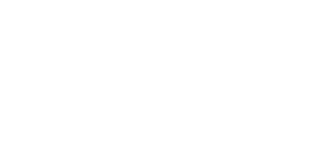 H&S Logo